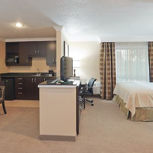 Queen Suite
